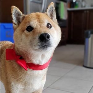 Meet your Posher, Paraniya